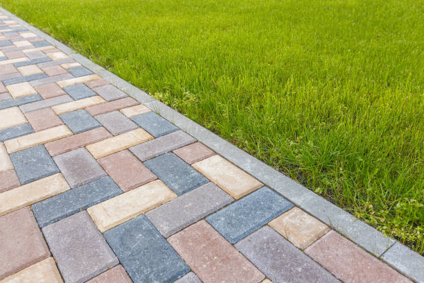 Best Professional Driveway Pavers  in Audubon Park, NJ
